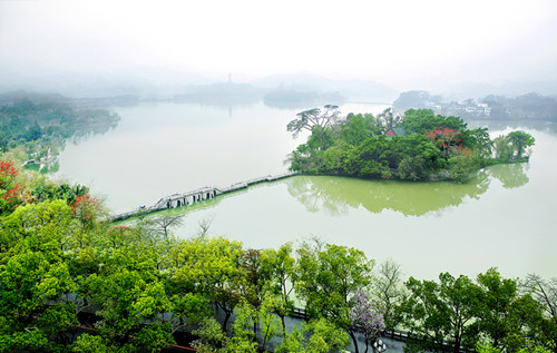 花洲话雨