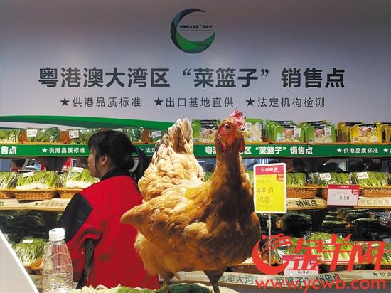 粤港澳大湾区食品安全升级“菜篮子”682个销售点同时开业