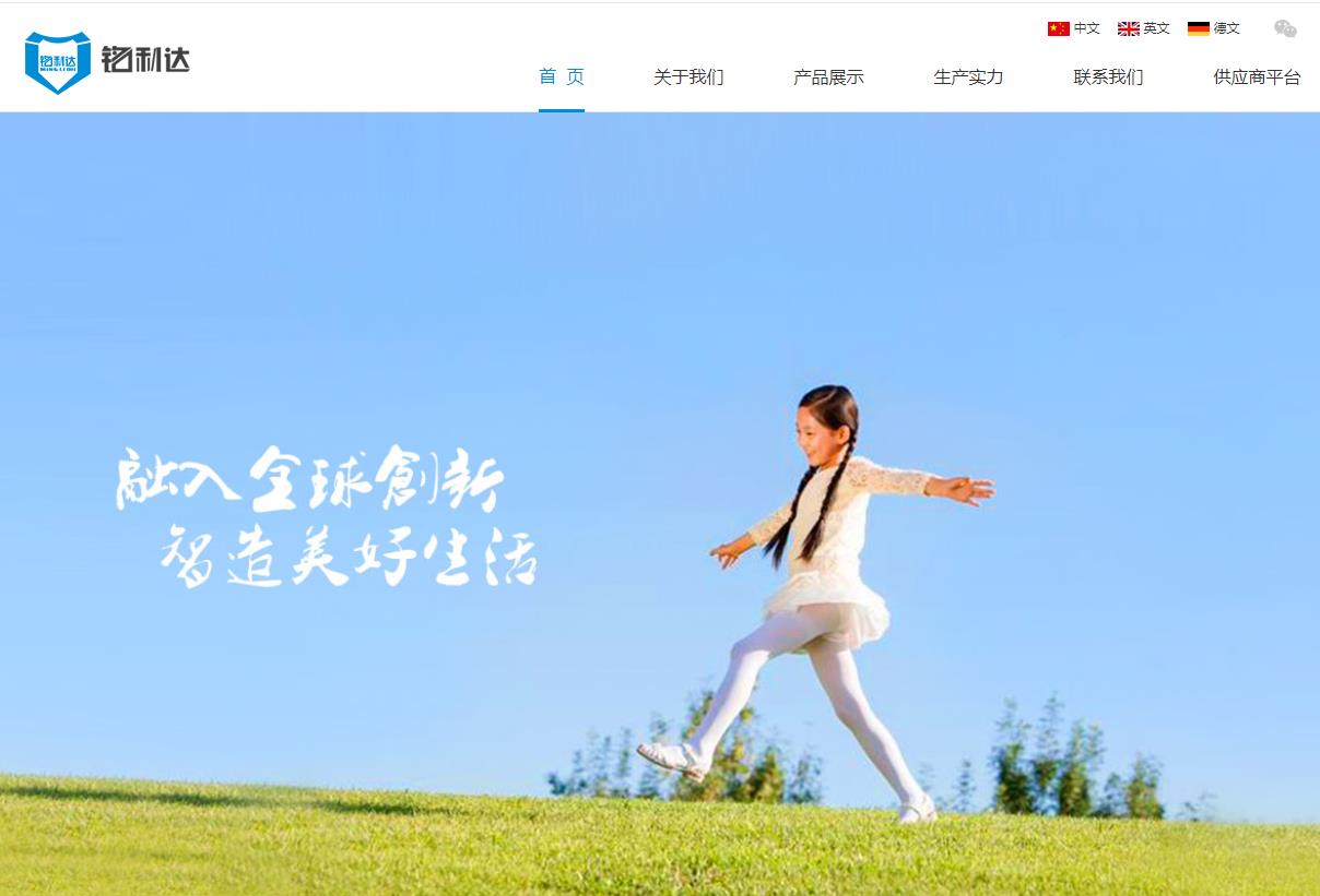 广东铭利达科技有限公司