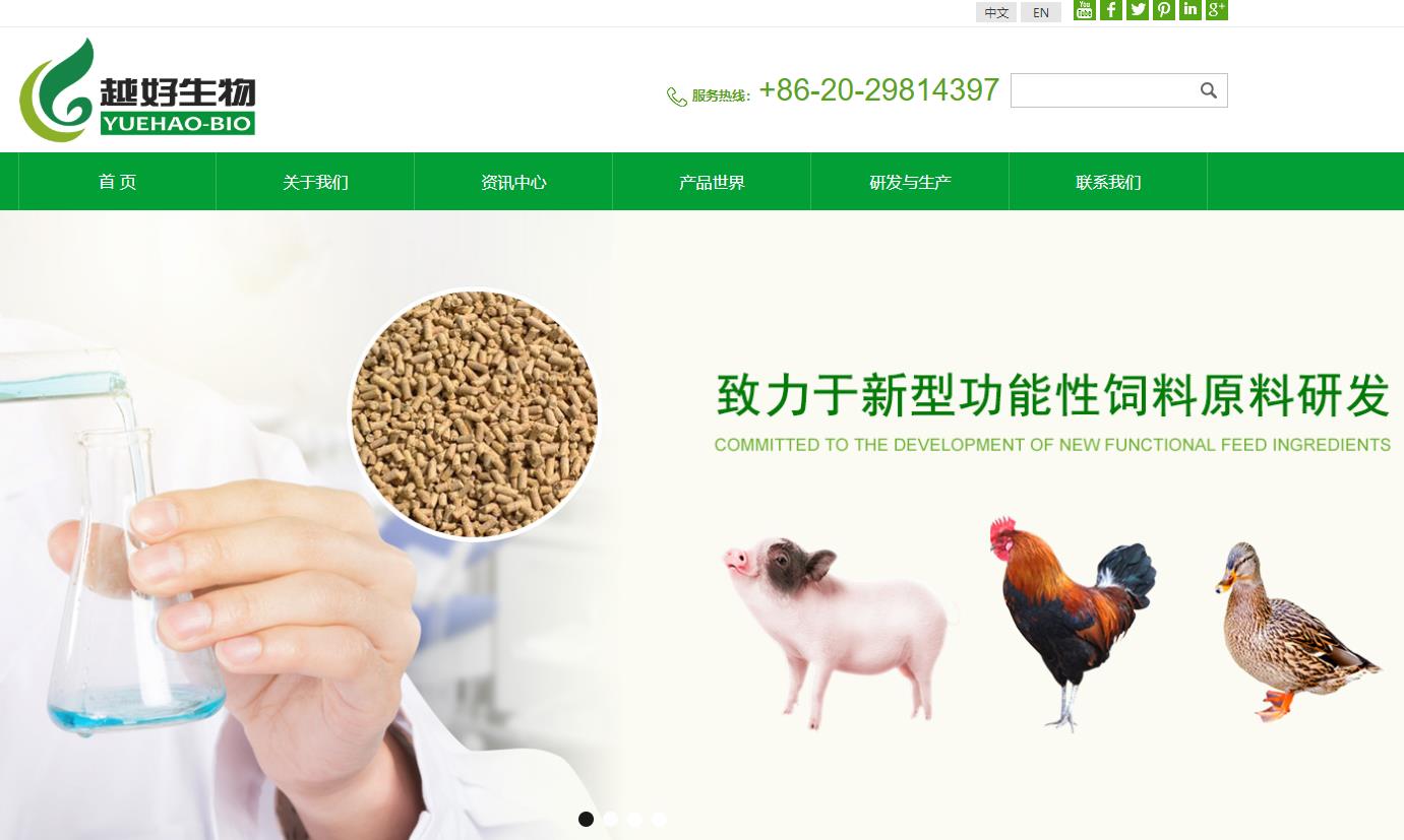 越好生物科技（广州）股份有限公司生产巧克力粉、发酵香菇、壳寡糖项目总投资 2000.0万元