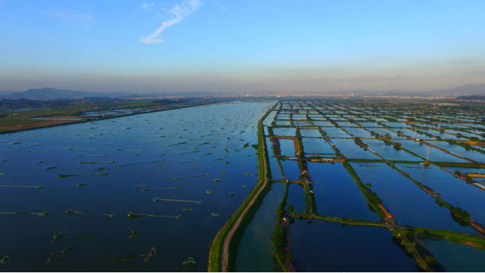 潼湖湿地