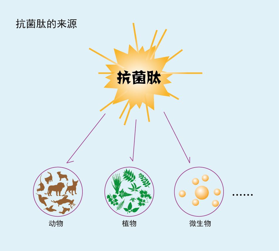 成果名称：低成本的热聚合抗菌剂的合成与转化