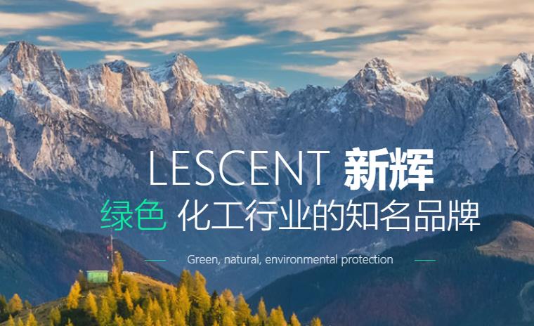 新辉(中国)新材料有限公司高分子新材料项目总投资30120.75万元 新辉(中国)新材料有限公司高分子新材料项目总投资30120.75万元