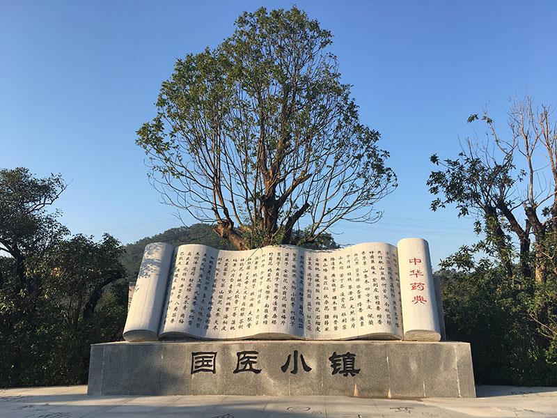 马骝山南药森林公园林业生产服务配套设施项目总投资 3000.0万元(图6) 马骝山南药森林公园林业生产服务配套设施项目总投资 3000.0万元(图6)