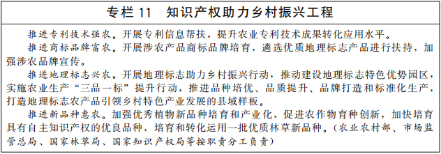 《“十四五”国家知识产权保护和运用规划》全文(图12)